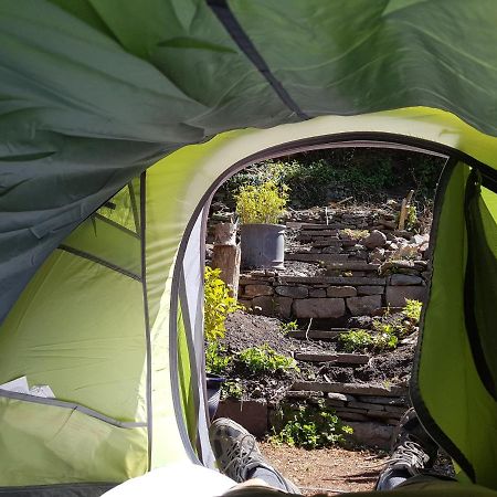 'Yellow Wood Micro Hostel-Eco Urban Bothy Style Very Basic But Cosy Redecorating But Cheap & Friendly Quiet Time Lockout 11Pm-7Am Bring Towel Or Hire 布雷肯 外观 照片
